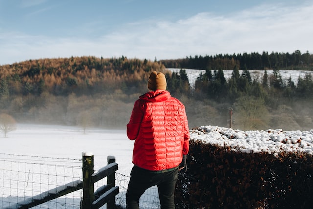 Man overlooking a field and forest with back to the camera